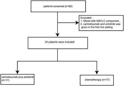 Camrelizumab combined with anlotinib as second-line therapy for metastatic or recurrent small cell lung cancer: a retrospective cohort study